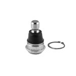 Ball Joint40160-CC40A,40160-CA010,40160-9Y000,40160-9W200